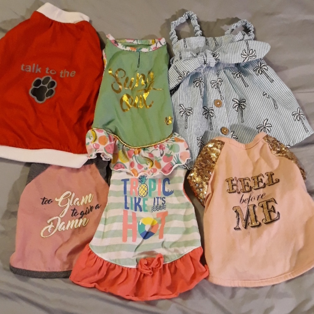 Bundle of dog clothes